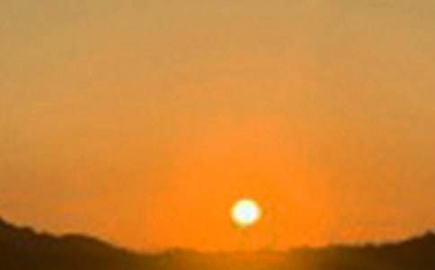 2026�곣��Ψ�����簲����Ȧ�ʺ��Ｏ��55��