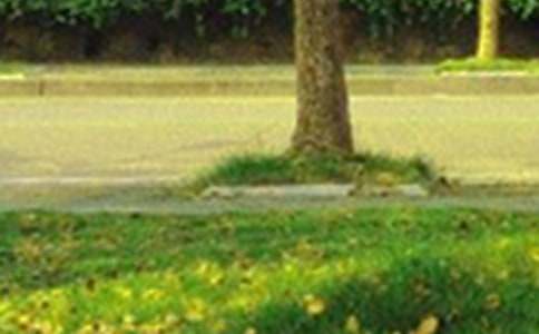 ����Ψ���簲�İ���ȫ115�侫ѡ