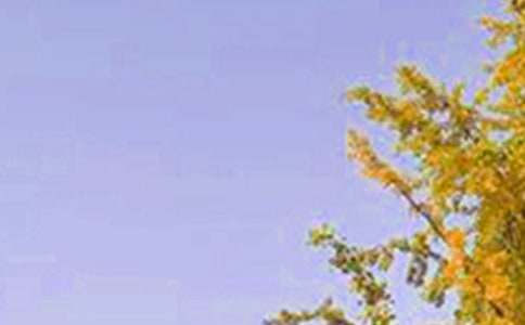 ��̵��������簲�ʺ������46��