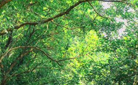 ���������簲�İ����ܣ�ͨ��145�䣩