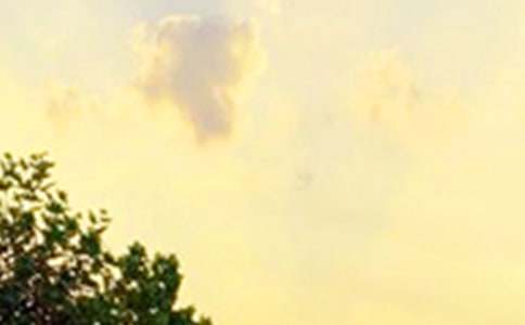 ���ر���2026��ÿ��һ���簲QQ�ʺ���39��