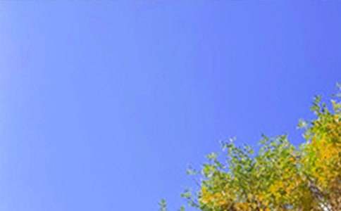 ���ر���2026����ܰ���簲�ʺ���46��