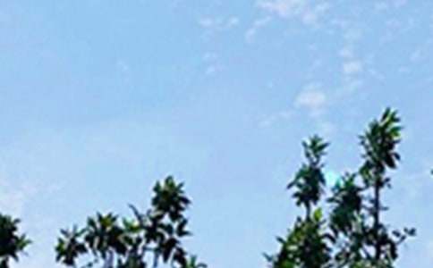 �Ƽ������簲�İ�����ѡ30�䣩