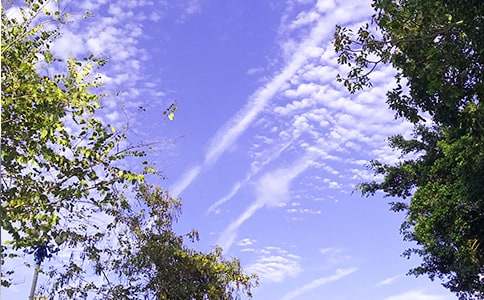 ��ѡ���˵��簲�ʺ�����ż���42��