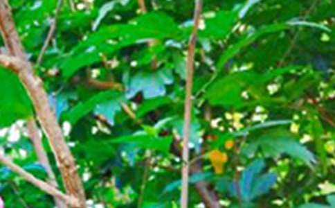 ��̸����簲�İ�����190�侫ѡ