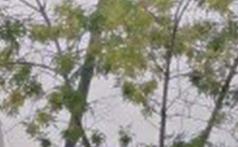 ��̵Ķ��˵��簲QQ�ʺ�����63��