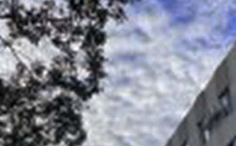 ����Ψ�����簲΢���ʺ���23��