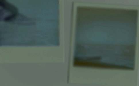 (��ѡ)һ����Ƭ����15ƪ