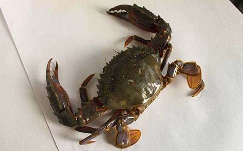 ׽�з����15ƪ�����䣩