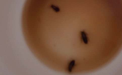 �������600��