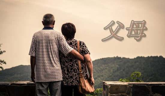 ��ĸ��л��ģ��