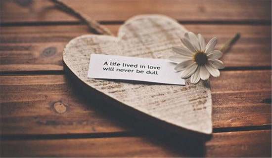 2026���̵ķ�����������¼ժ¼63��