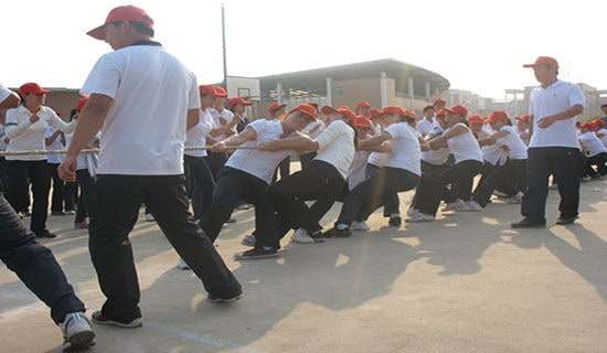 [ʵ��]�κӵ�����600��4ƪ