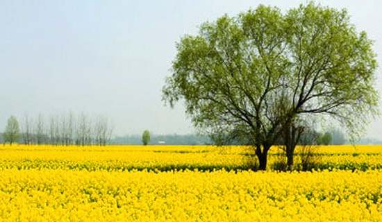 ���ᴺ�λ����