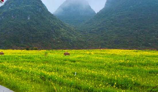 �йش��ε��ռǼ��ϰ�ƪ