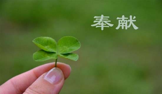 爱与奉献的名言(精选165句)